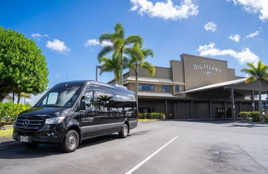 Big Island: Coffee, Black Sand, Volcano and Waterfall Tour - The guides are the tour’s strongest feature