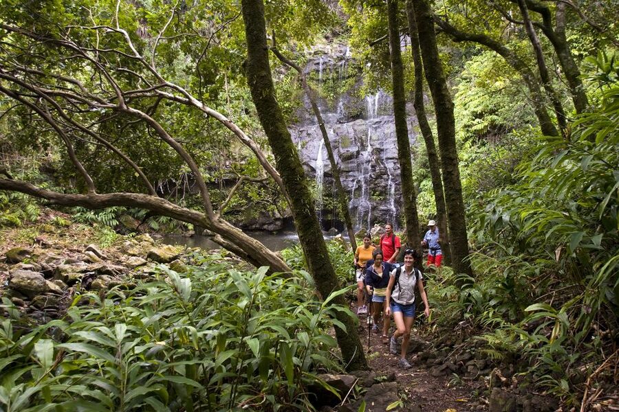 Big Island: Full Day Adventure Tour of the Kohala Waterfalls - The one-mile stream walk to the falls