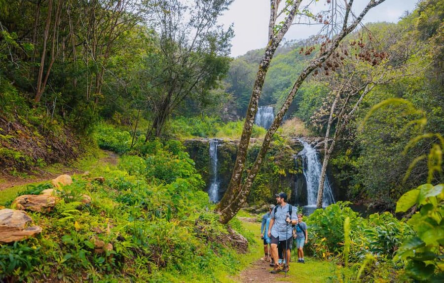 Big Island: Full Day Adventure Tour of the Kohala Waterfalls - What the guides add to the day