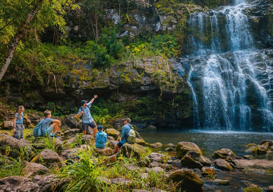 Big Island: Full Day Adventure Tour of the Kohala Waterfalls - Who should book this Kohala outing