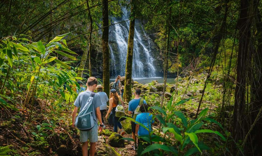 Big Island: Full Day Adventure Tour of the Kohala Waterfalls - Should you book it?