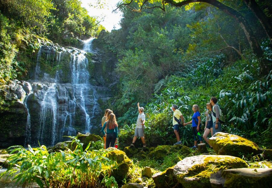Big Island: Full Day Adventure Tour of the Kohala Waterfalls - The ride from the resort coast to North Kohala
