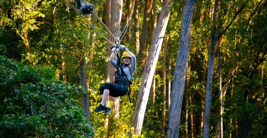 Big Island: Full-Day Kohala Zipline and Waterfall Adventure - The long ride north sets the tone