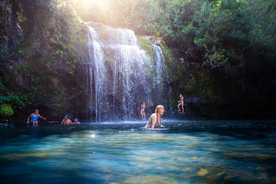 Big Island: Full-Day Kohala Zipline and Waterfall Adventure - Eight lines make this a full canopy course