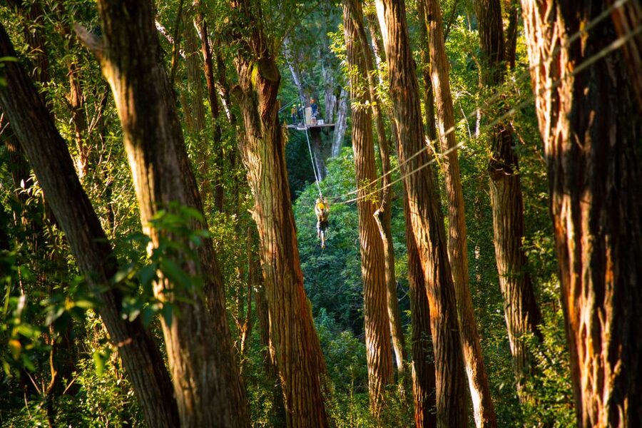 Big Island: Full-Day Kohala Zipline and Waterfall Adventure - Lunch comes with wide mountain views