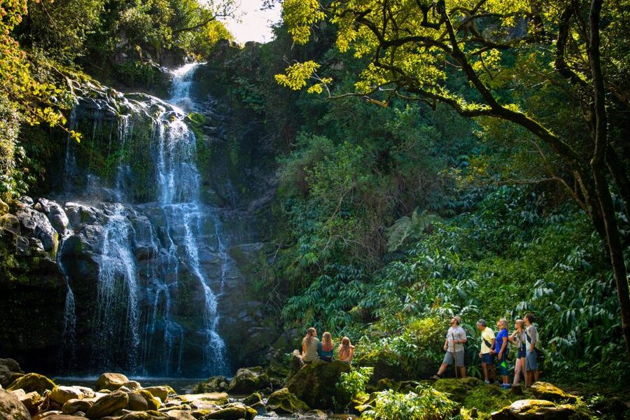 Big Island: Full-Day Kohala Zipline and Waterfall Adventure - The final waterfall swim is the cool-down