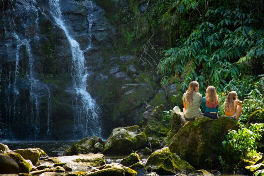 Big Island: Full-Day Kohala Zipline and Waterfall Adventure - Who will enjoy this day most?