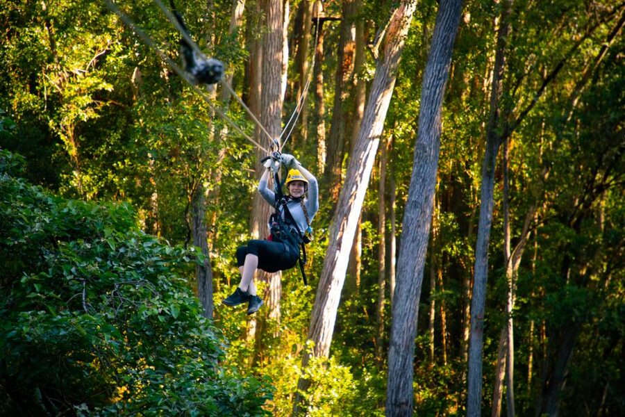 Big Island: Full-Day Kohala Zipline and Waterfall Adventure - Hawi is your launch point