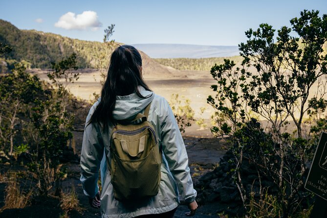 Big Island Highlights: Coffee, Volcano, Black Sands & Waterfall - Greenwell Farms and the taste of Kona coffee