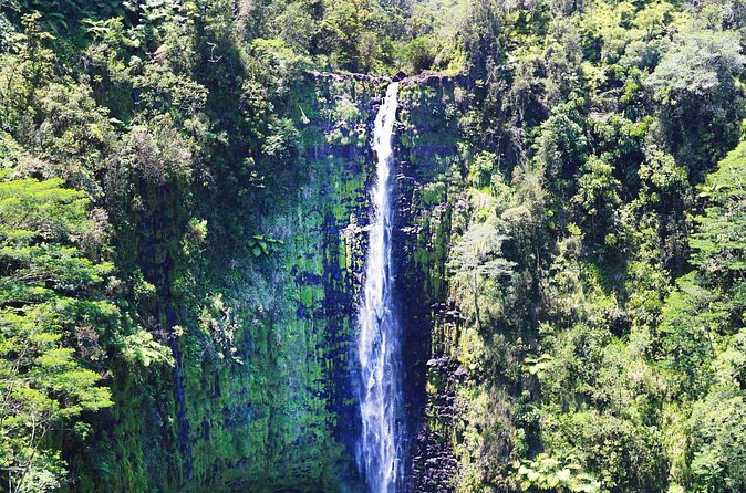 Big Island in a Day-Explore Volcanoes, Waterfalls, Beaches & more - Punaluʻu Black Sand Beach and turtle country