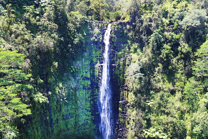 Big Island in a Day-Explore Volcanoes, Waterfalls, Beaches & more - ʻAkaka Falls State Park and its paved trail