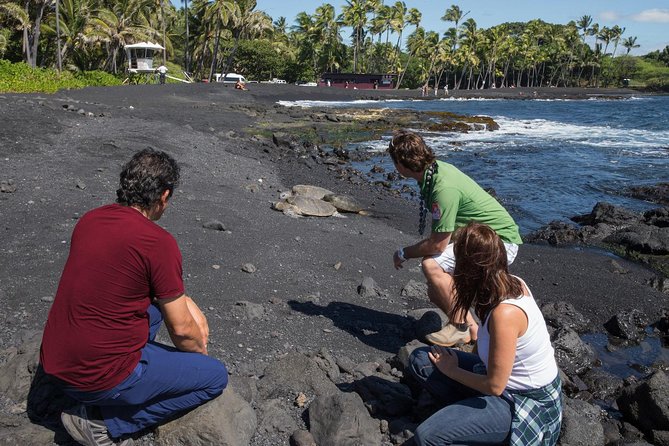 Big Island in a Day: Volcanoes Waterfalls Sightseeing and History - Coffee, lava, and the southern route