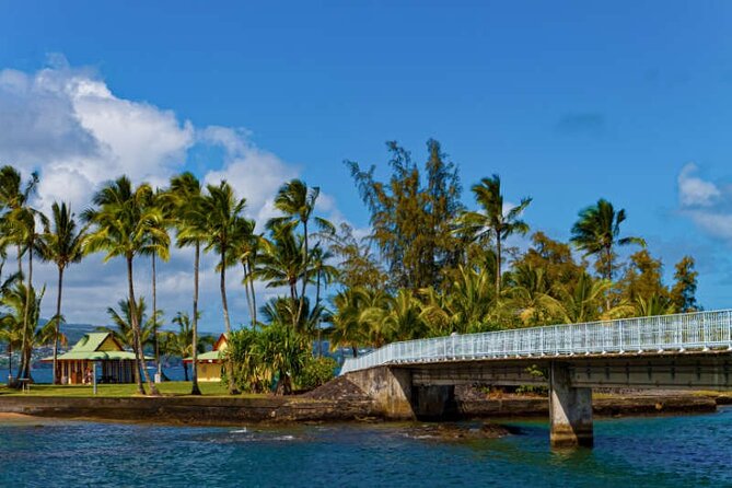 Big Island Scenic Tour: Volcano HiloTown Waterfalls Beach & Lunch - Hilo Farmers Market for fruit and souvenirs
