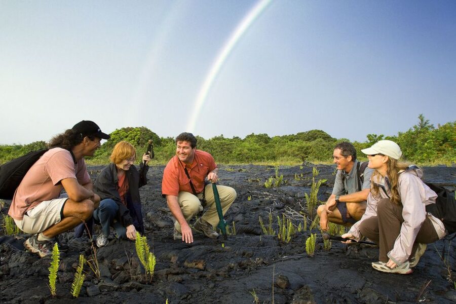 Big Island: Volcano, Chocolate & Waterfall Adventure - The guide makes or breaks a 12-hour day