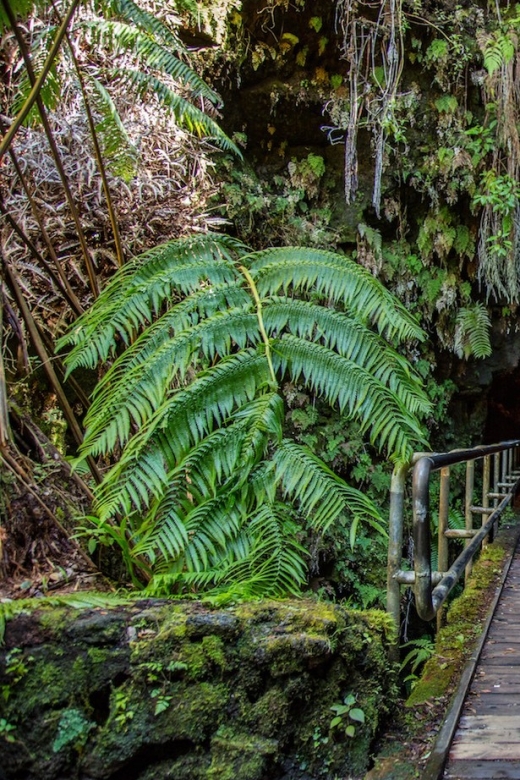 Big Island: Volcanoes, Waterfalls, & Coffee Farm Day-Trip - Rainbow Falls is a quick, easy waterfall stop