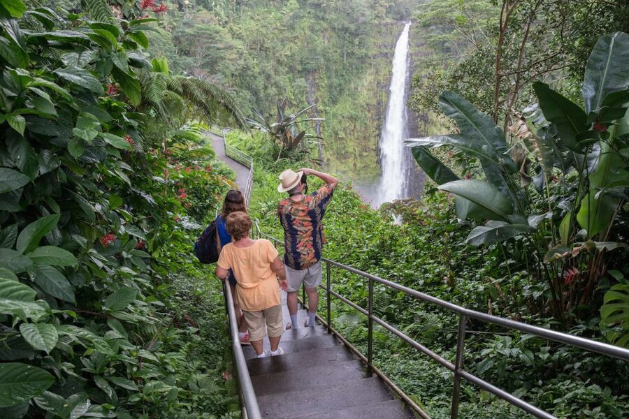 Big Island: Volcanoes, Waterfalls, & Coffee Farm Day-Trip - Punalu’u combines black sand, lunch, and sea turtles