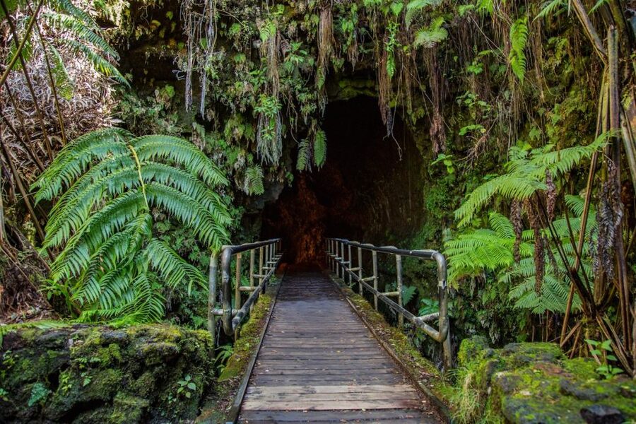 Big Island: Volcanoes, Waterfalls, & Coffee Farm Day-Trip - The drive is part of the experience