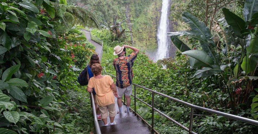 Big Island: Waterfall Tour with Swimming & Botanical Garden - Hawaii Tropical Bioreserve makes plants the main attraction