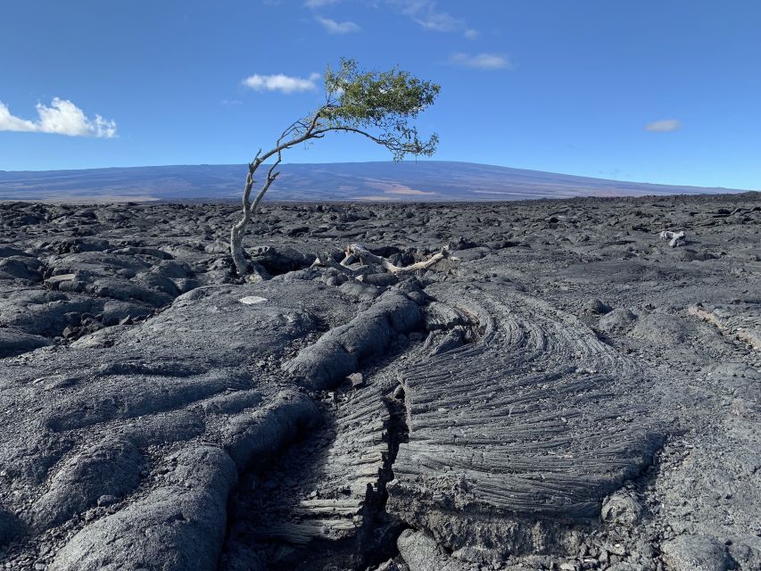 Big Island: Waterfall Tour with Swimming & Botanical Garden - Who will enjoy this tour most