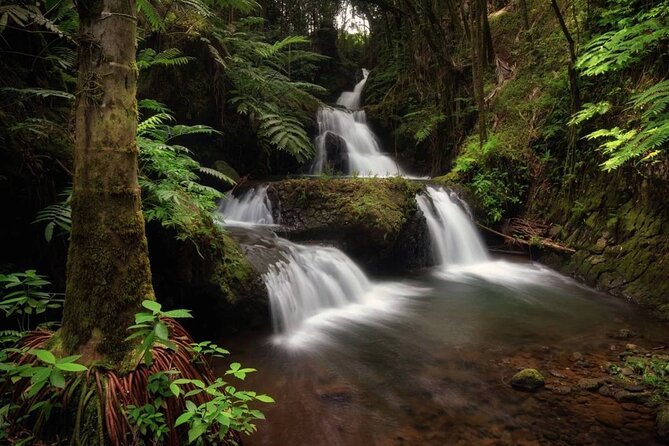 Big Island Waterfalls Tour with Swimming and Botanical Garden - Akaka Falls and the Hamakua Coast