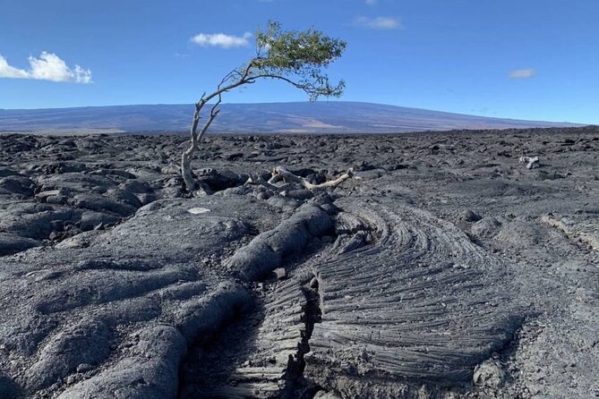 Big Island Waterfalls Tour with Swimming and Botanical Garden - The return over Saddle Road