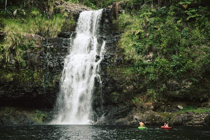 Big Island Waterfalls Tour with Swimming and Botanical Garden - A sweet stop at Tex Drive-In