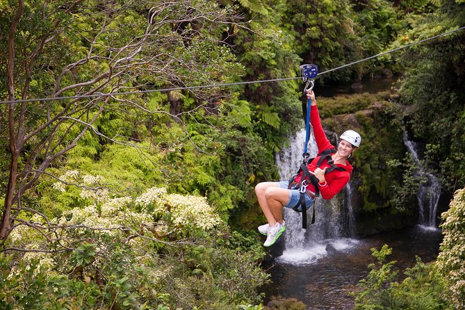 Big Island Zipline Tour Near Akaka Falls (250-ft Waterfall!) - Getting to the Honomu meeting point