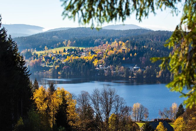 Black Forest and Rhine Falls Day Trip from Zurich - Rhine Falls, the strong finish