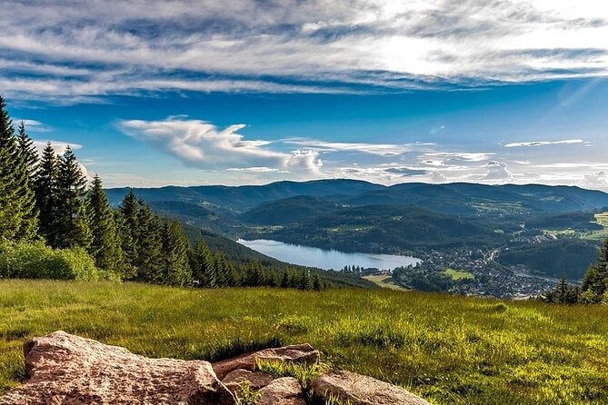Black Forest and Rhine Falls Day Trip from Zurich - Timing, group size, and practical preparation