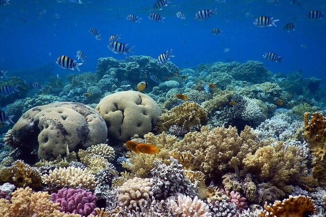 Blue Hole Snorkeling Tour with lunch from Dahab - Reaching the Blue Hole from Dahab