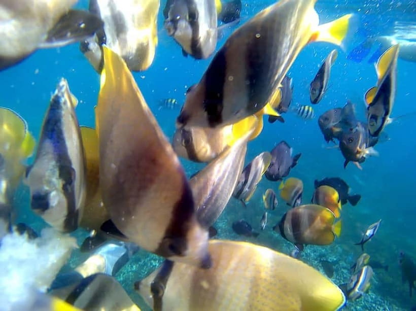 Blue Lagon Snorkeling, Waterfall, and Celuk Village Tour - Walking into Tukad Cepung Waterfall