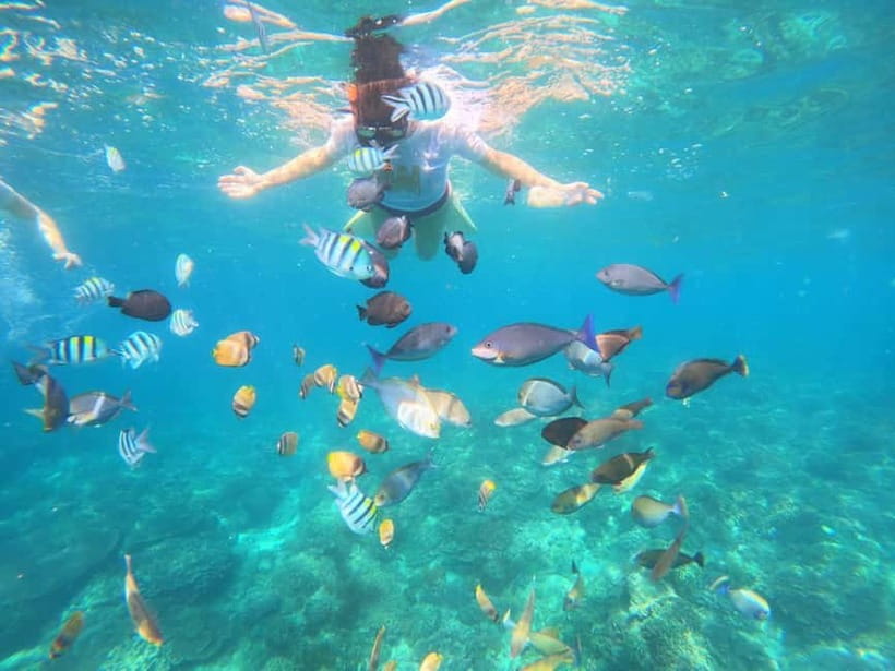 Blue Lagon Snorkeling, Waterfall, and Celuk Village Tour - What $17 really gets you