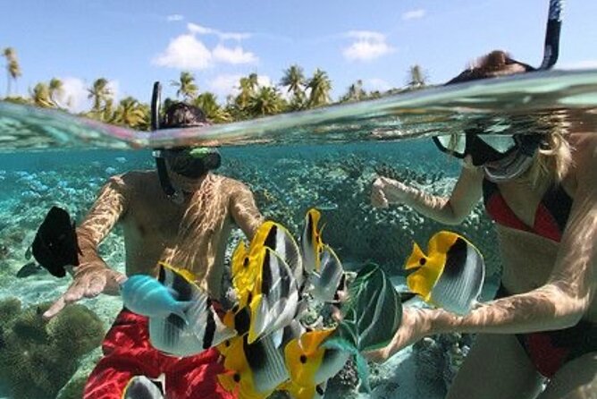 Blue Lagoon Snorkeling - Lunch - Kantolampo - Tibumana Waterfall - Who will enjoy this experience most