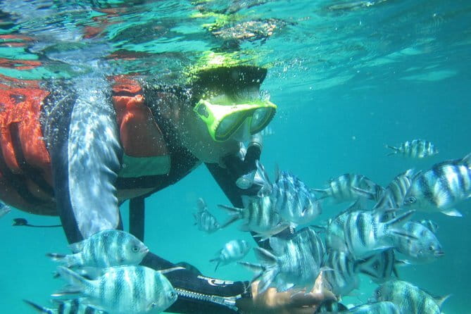 Blue Lagoon Snorkeling with Lunch and Waterfall in Ubud - What the private format is worth at $50