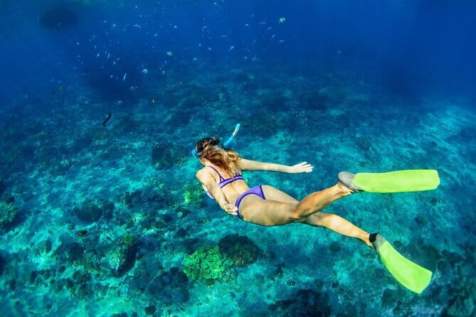 Blue Lagoon Snorkeling with Lunch and Waterfall in Ubud - Who will get the most from this tour