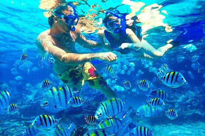 Blue Lagoon Snorkeling with Lunch and Waterfall in Ubud - Blue Lagoon: two snorkel stops by boat