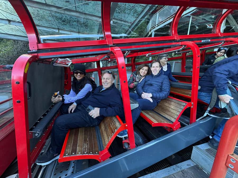 Blue Mountain Small Group Scenic World, Wildlife, Waterfall - Who should book this tour?