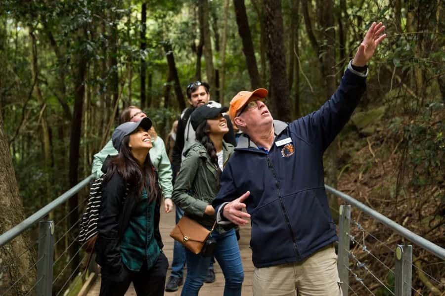 Blue Mountain Small Group Scenic World, Wildlife, Waterfall - The rainforest and Jamison Valley views