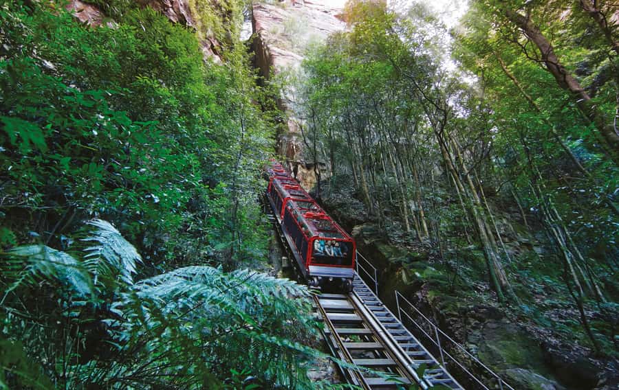 Blue Mountain Small Group Scenic World, Wildlife, Waterfall - Featherdale or Sydney Zoo after the mountains