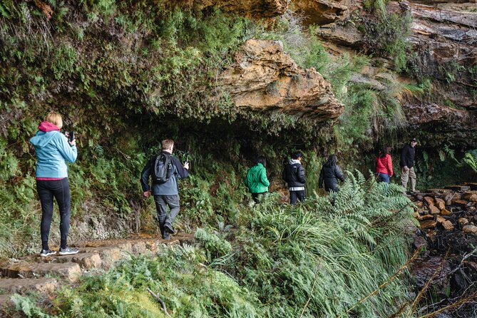 Blue Mountains Day Tour With Bushwalks, Waterfalls & Featherdale - Katoomba, Leura, and your lunch break