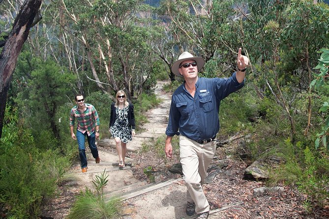 Blue Mountains Day Tour With Bushwalks, Waterfalls & Featherdale - Leaving Sydney and settling into the bus