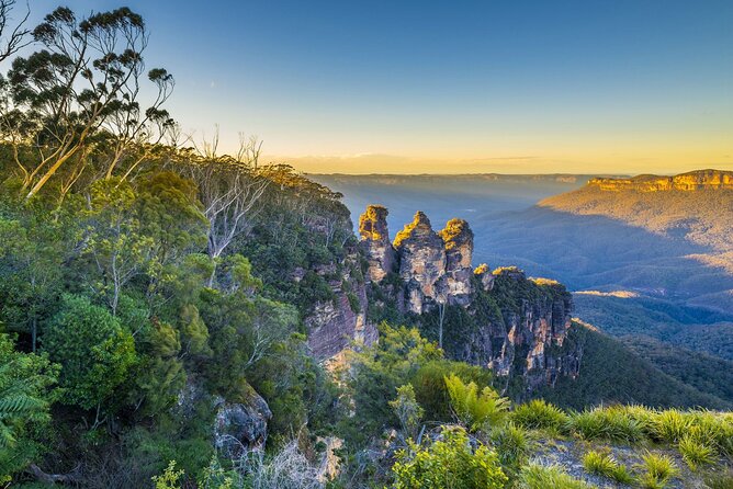 Blue Mountains Private Tour | Koala, Kangaroo, & Waterfalls Day - Key points to know before booking