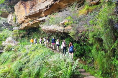 Blue Mountains Small Group Tour with Waterfall Walk & Fresh Lunch