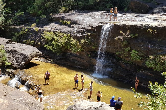 Blue Mountains Small Group Tour with Waterfall Walk & Fresh Lunch - Who should book this day