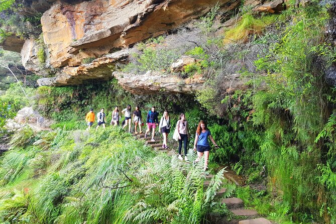 Blue Mountains Small Group Tour with Waterfall Walk & Fresh Lunch - Leaving Sydney at 7:30 am