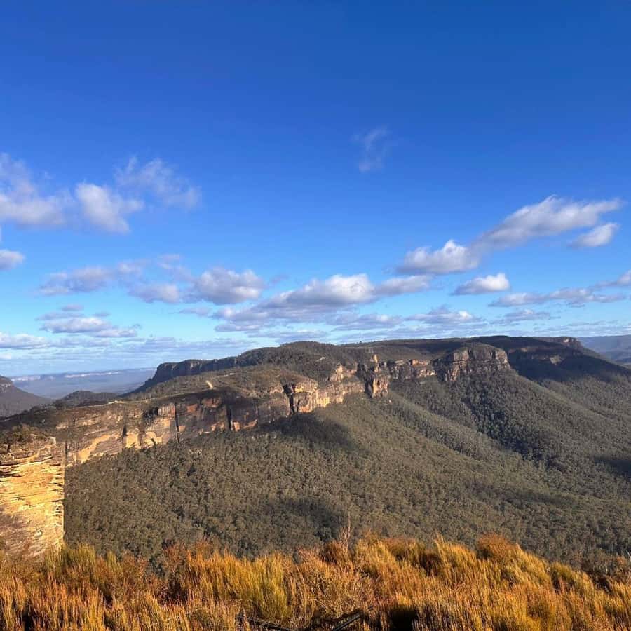 Blue Mountains Tour, Katoomba Falls & Cockatoos Small Group - Is $121 good value?