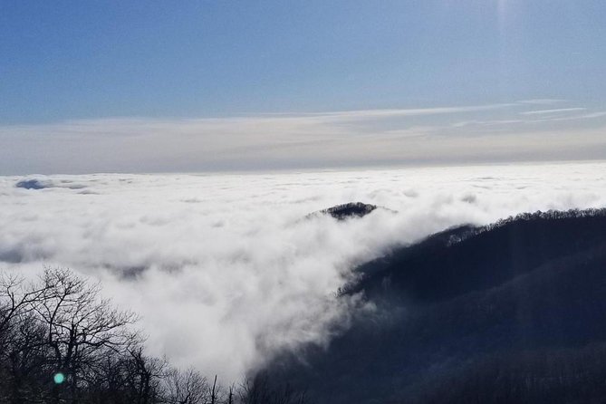 Blue Ridge Parkway Waterfalls Hiking Tour from Asheville - Walking through DuPont State Recreational Forest