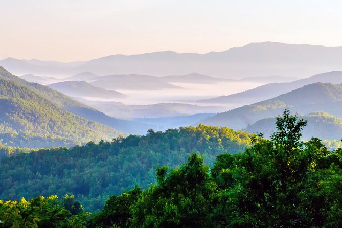 Blue Ridge Parkway Waterfalls Hiking Tour from Asheville - Who should book this Asheville hike?