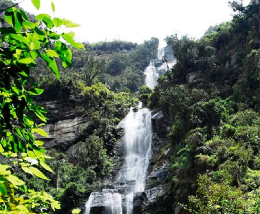 Bogota: La Chorrera Waterfall Guided Hike and Guadalupe Hill - From Bogotá’s streets to the eastern cordillera
