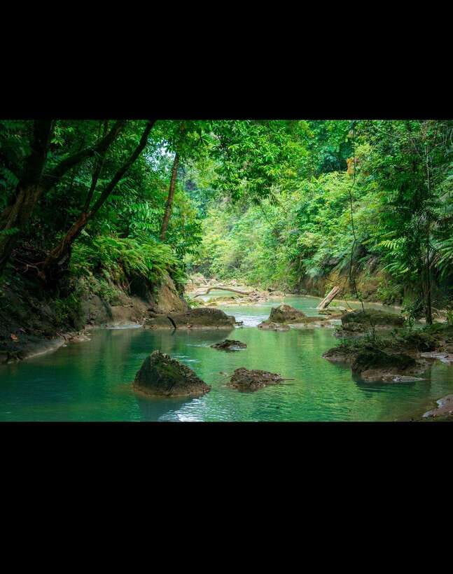 Bohol: Waterfall Hopping & Secret Jungle Trails Guided Tour - Swimming, rope swings, and optional cliff jumps